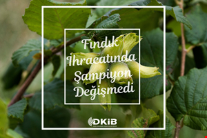 FINDIK İHARACATINDA ŞAMPİYON DEĞİŞMEDİ